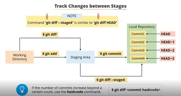 Git Workflow